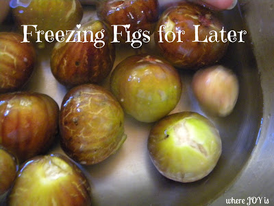can you freeze raw figs