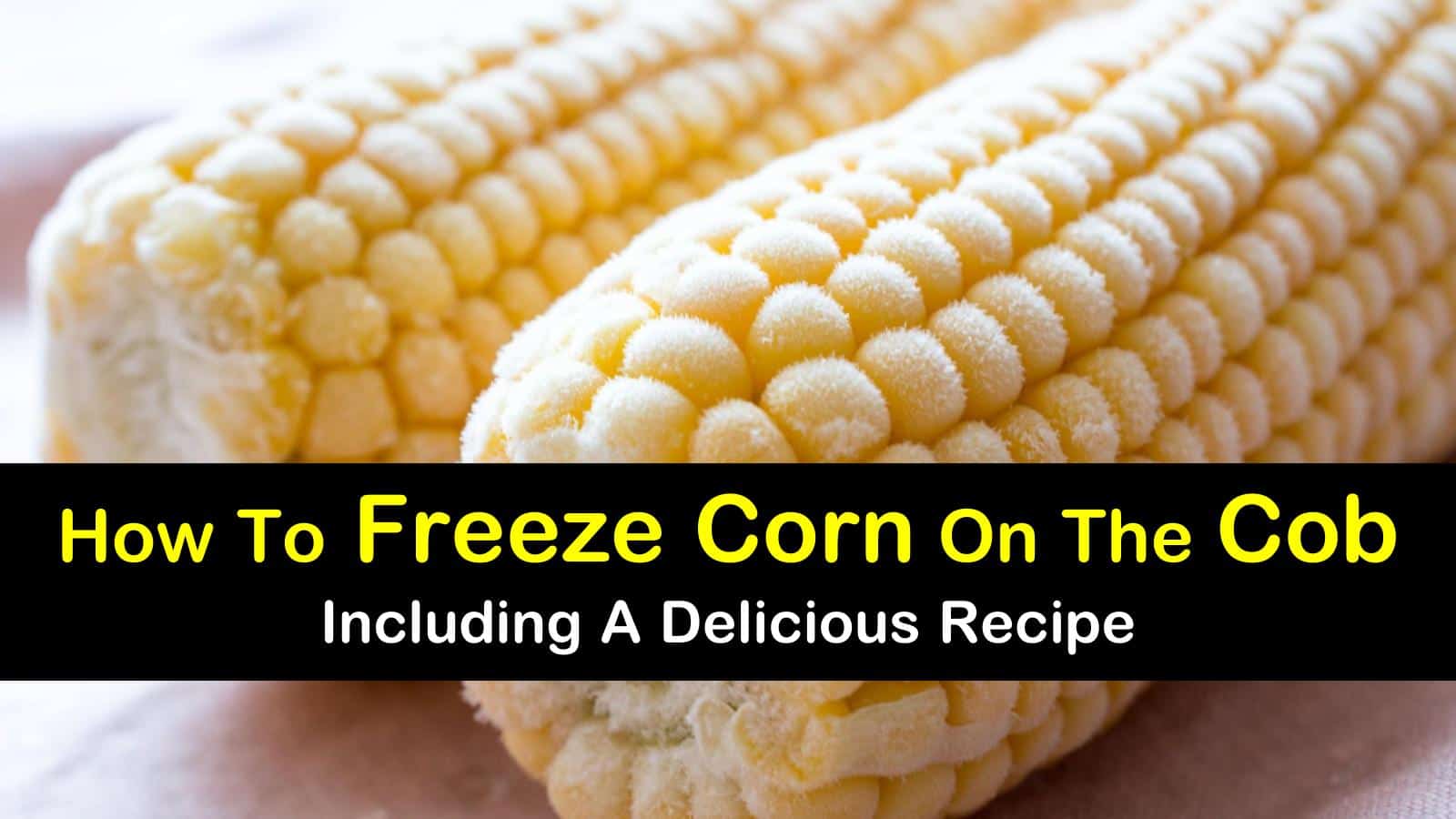 can you freeze corn on the cob